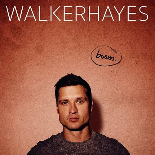 Walker Hayes - Beer In The Fridge - Single