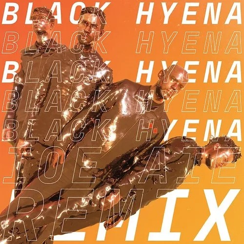 Everything Everything - Black Hyena (Ioe Aie Remix)