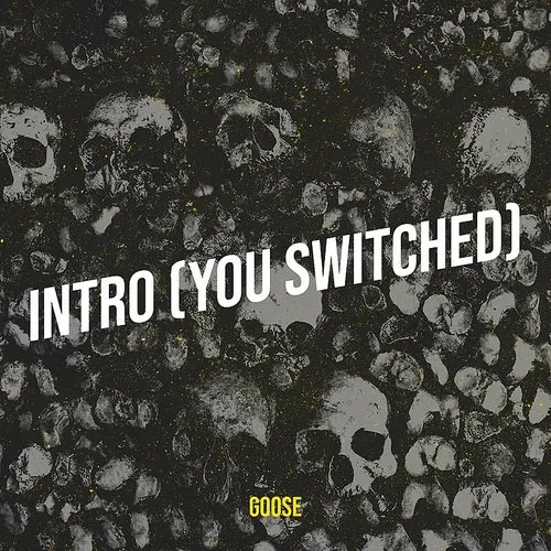 Goose - Intro (You Switched)