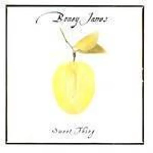 Boney James - Sweet Thing